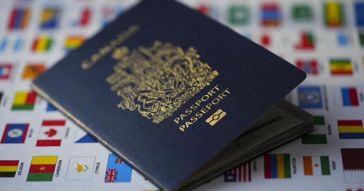 40% decline in permanent residents becoming Canadian citizens since 2001, data shows - National