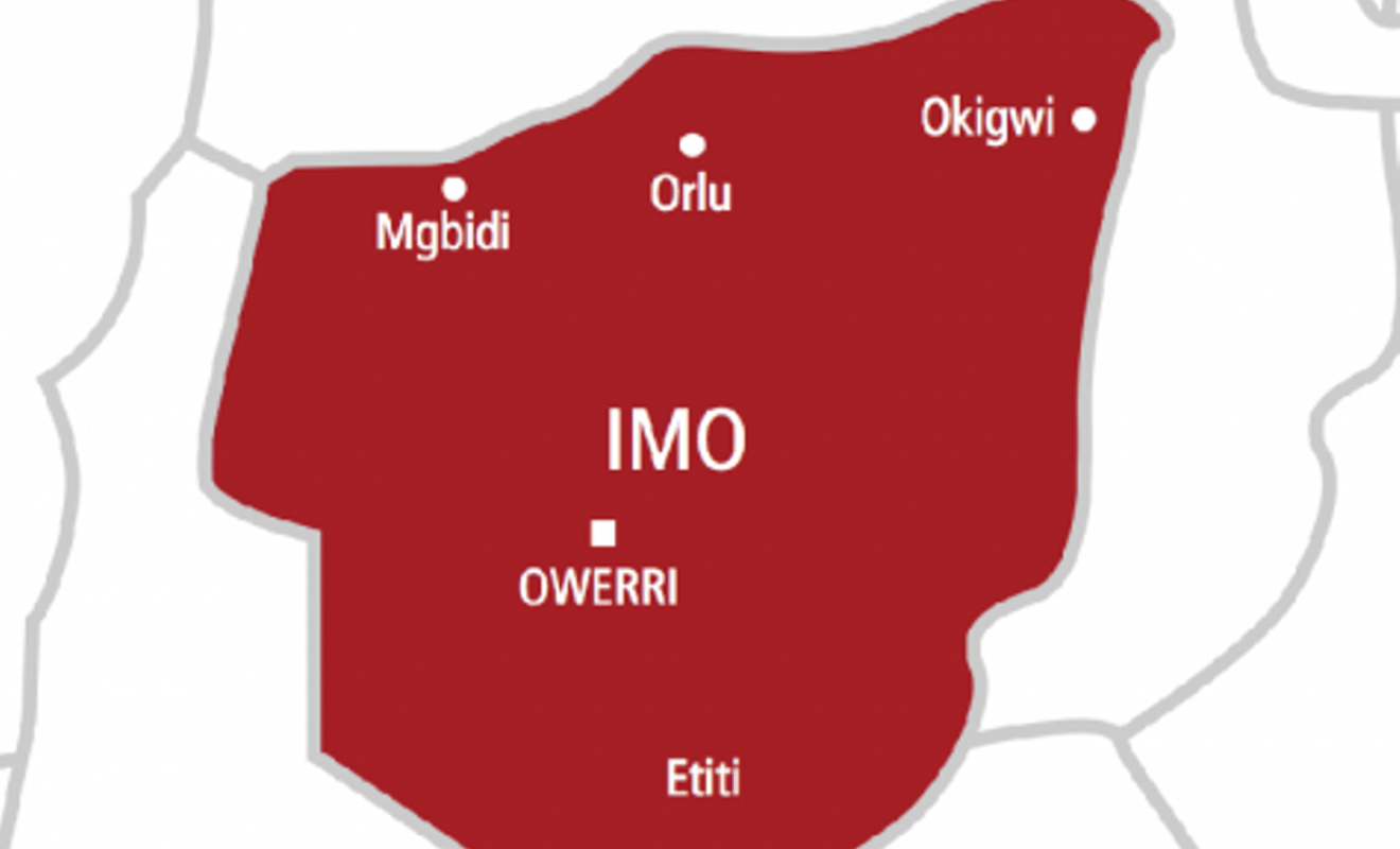 Imo: Women group vows to save Igbo language, culture