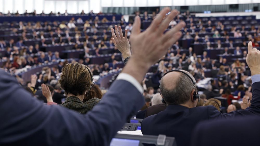 MEPs launch hotline to tip off Big Tech's 'shady lobbying' in EU institutions