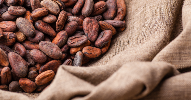 New crisis for global cocoa supply as Nigeria exporters experience cash crunch