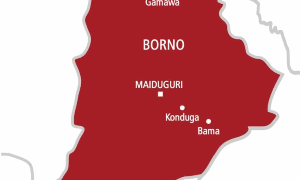 Post Insurgency: Rights group urges Borno govt to consider transitional Justice for Peace