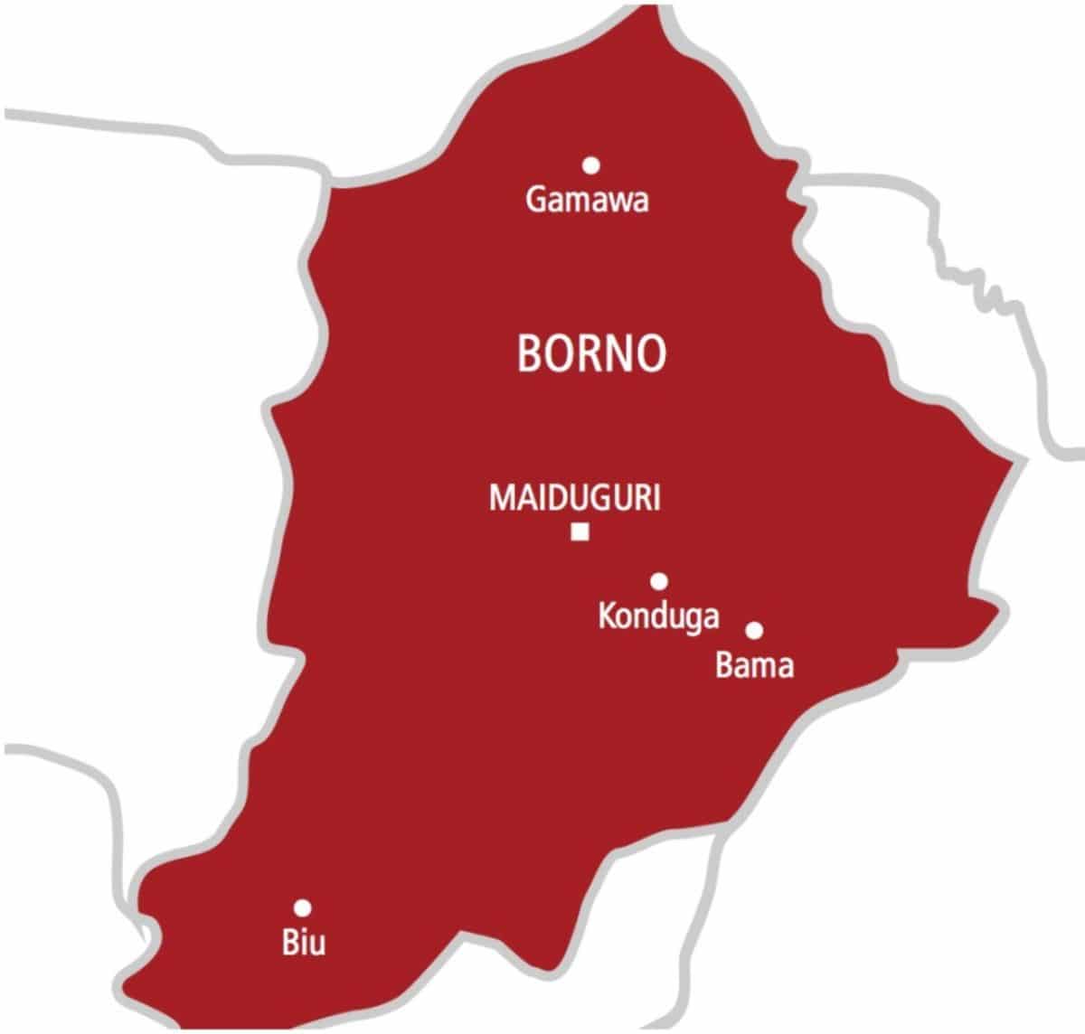Post Insurgency: Rights group urges Borno govt to consider transitional Justice for Peace