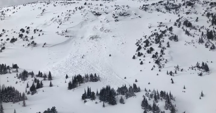 Victim of Potato Peak fatal avalanche identified as search-and-rescue volunteer