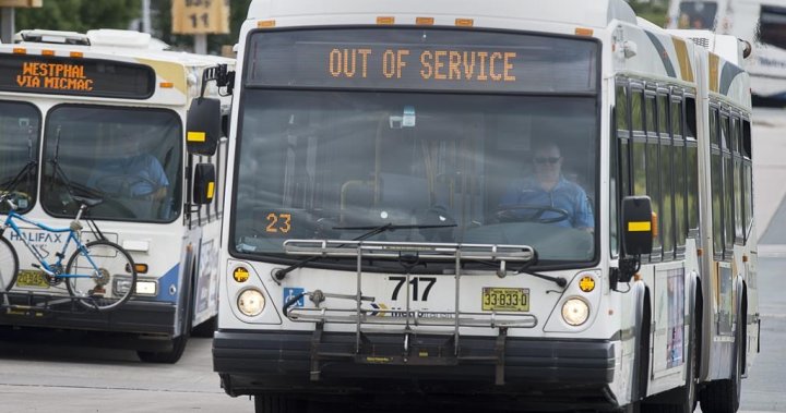 Canadian cities cutting transit services could cause ‘death spiral,’ researcher warns