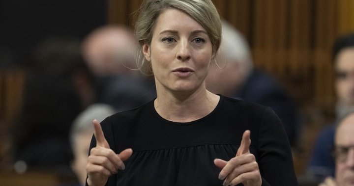 Canada pushing China to include Ukraine in talks with Russia to end war, Joly says - National