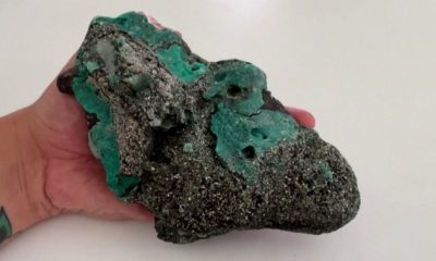 Plastic rocks turn up on a remote Brazilian island, ‘terrifying’ researchers - National