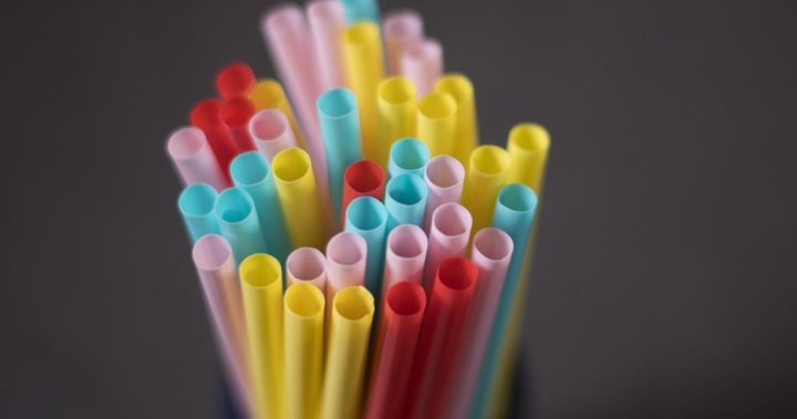 Montreal single-use plastics ban comes into effect, covering range of products