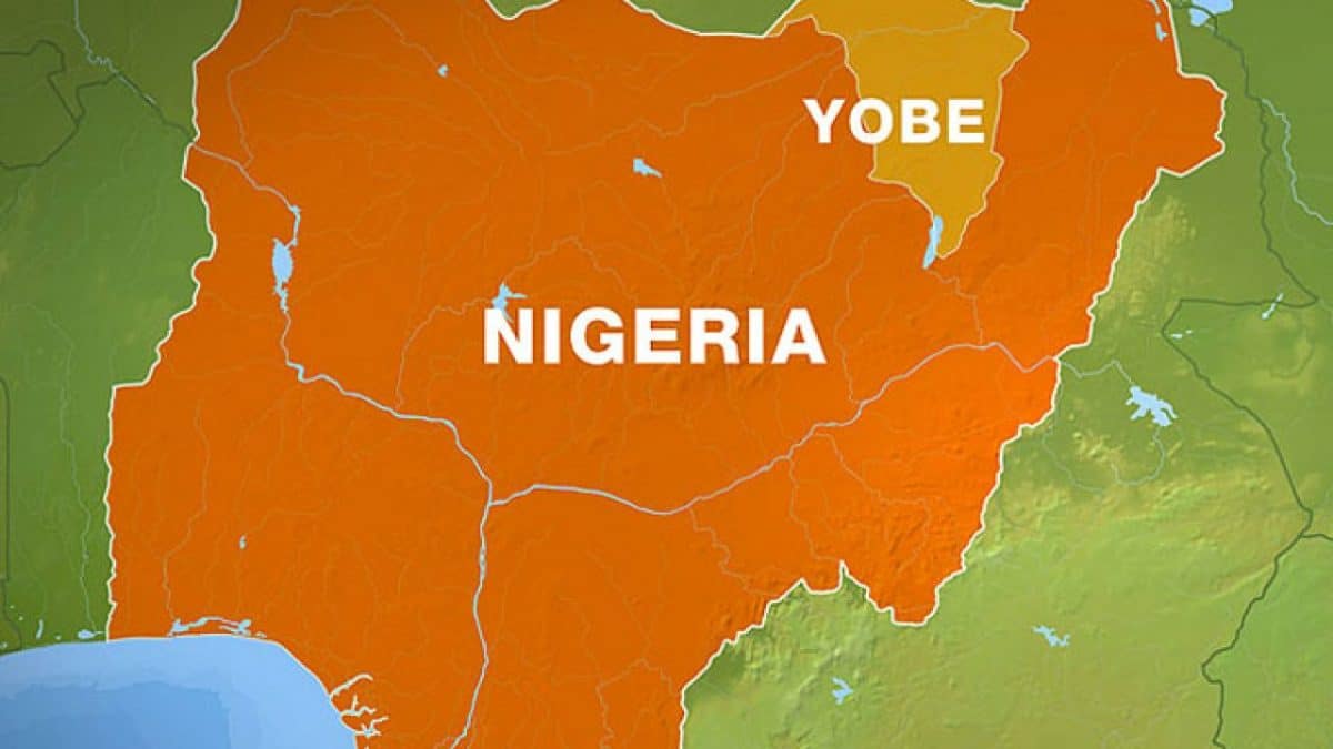Elections: Police announce restriction of movement, ban quasi security outfits in Yobe