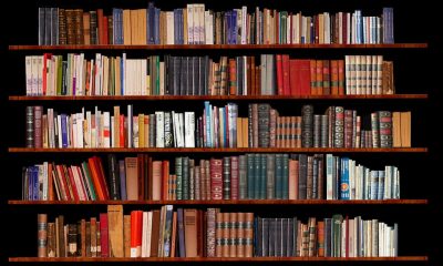 Nigeria: From Chinua Achebe to Toyin Falola - 5 Essential Books Nigeria's New President Should Read