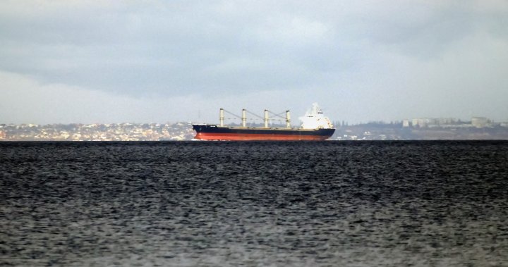 New Black Sea grain deal remains elusive despite resumption of ship inspections - National