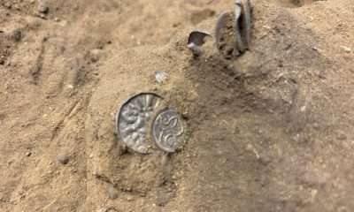 Trove of 1,000-year-old Viking coins unearthed by young girl in Denmark - National