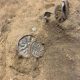 Trove of 1,000-year-old Viking coins unearthed by young girl in Denmark - National