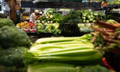 Food prices have fallen on world markets. Why not on kitchen tables? - National