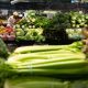 Food prices have fallen on world markets. Why not on kitchen tables? - National