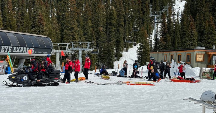 Non-fatal avalanche hits Sunshine Village Ski Resort in Banff, Alta. - Calgary