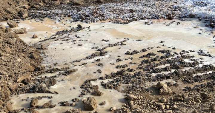 Alberta regulator confirms potential oilsands toxins in small fish-bearing waterbody