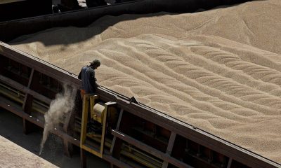 Talks to lift bans on tariff-free Ukrainian grain fail, despite new pitch from Brussels