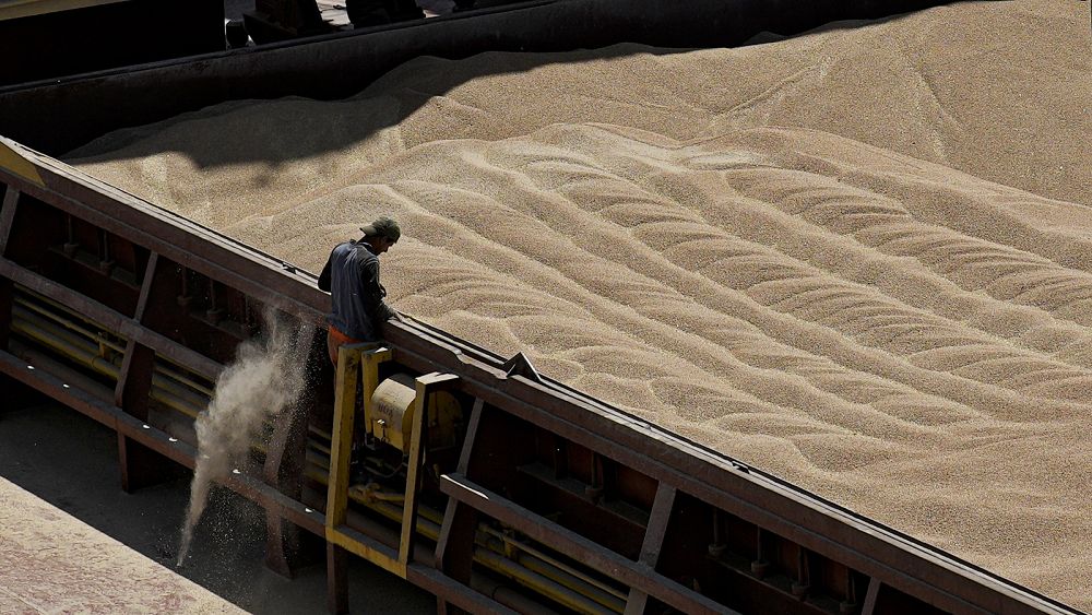 Talks to lift bans on tariff-free Ukrainian grain fail, despite new pitch from Brussels