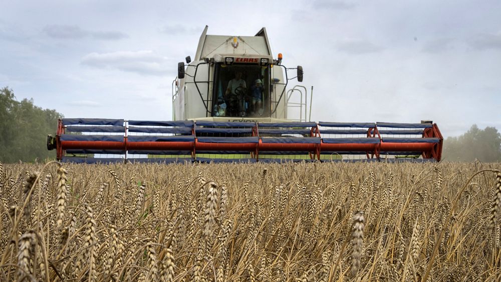 12 member states raise 'serious concerns' about EU deal on Ukrainian grain, reigniting controversy