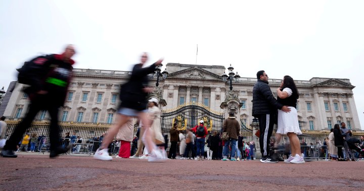 London police arrest man outside Buckingham Palace over suspected weapon - National