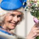 What is the controversy around Camilla’s coronation crown? - National