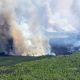 2 weeks and a heat dome later: Where does Alberta wildfire situation stand?
