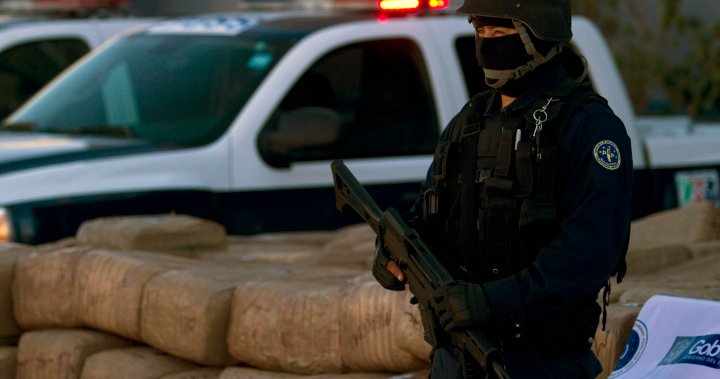 10 dead after gunmen open fire at car rally in Baja California - National