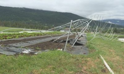 Community rallies around North Okanagan farms dealing with storm damage - Okanagan