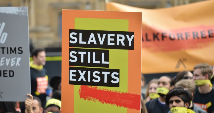 World’s 20 richest countries fuelling ‘modern slavery,’ report says - National