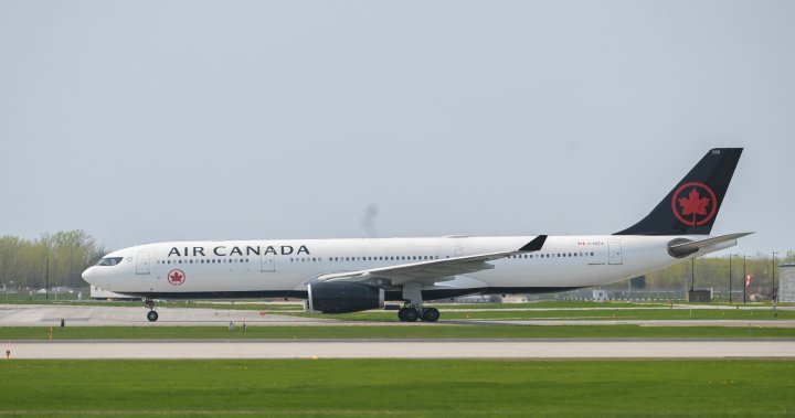 Air Canada flights briefly grounded globally over ‘technical issue’ - National