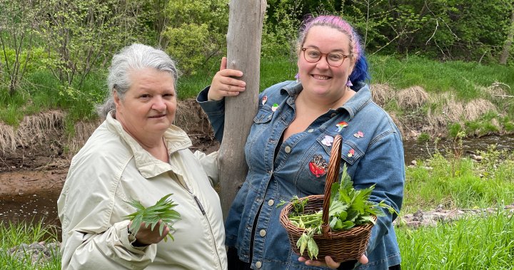 Forage in the forest for food? You’ll save money — and get happy - New Brunswick