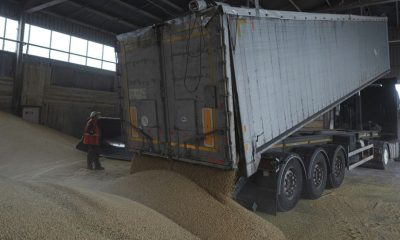 EU announces Ukraine grain deal after import bans by five member countries