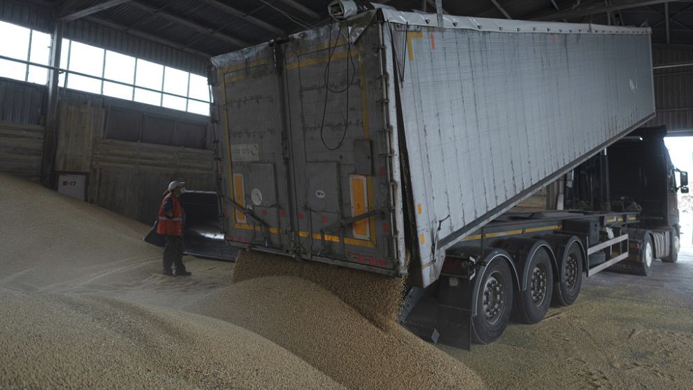 EU announces Ukraine grain deal after import bans by five member countries