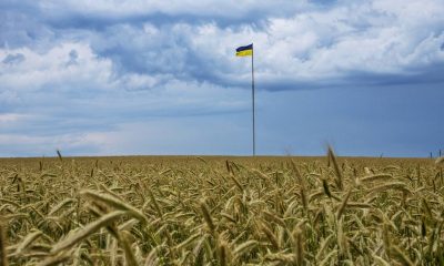 Here's all we know about the EU deal on tariff-free Ukrainian grain