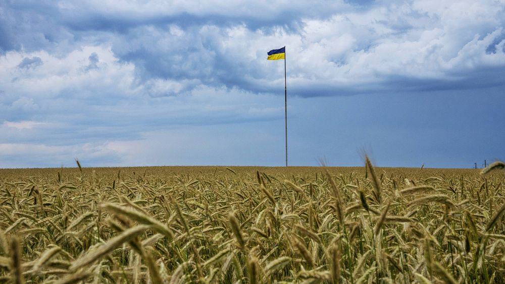 Here's all we know about the EU deal on tariff-free Ukrainian grain