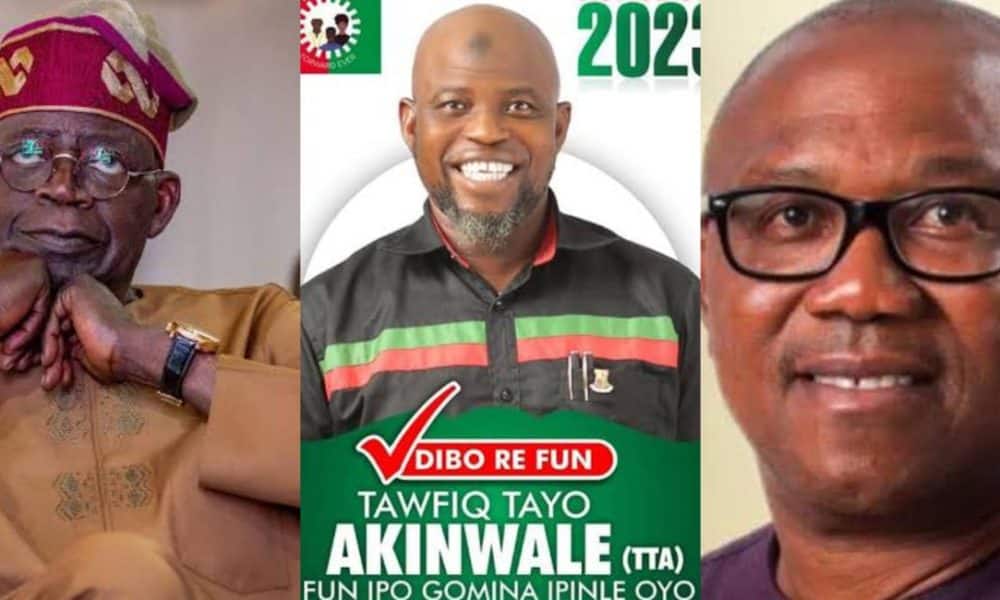 'LP Governorship Candidate, Akinwale Reveals How Tinubu Funded Peter Obi's Campaign'