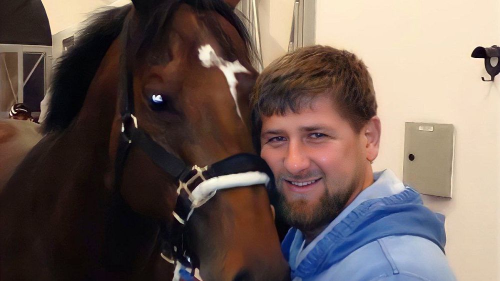 Putin loyalist accuses Ukraine of kidnapping favourite horse