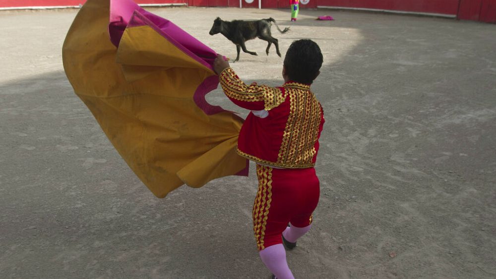 Spain's dwarf bullfighters, the bombero toreros, see red over their right to work