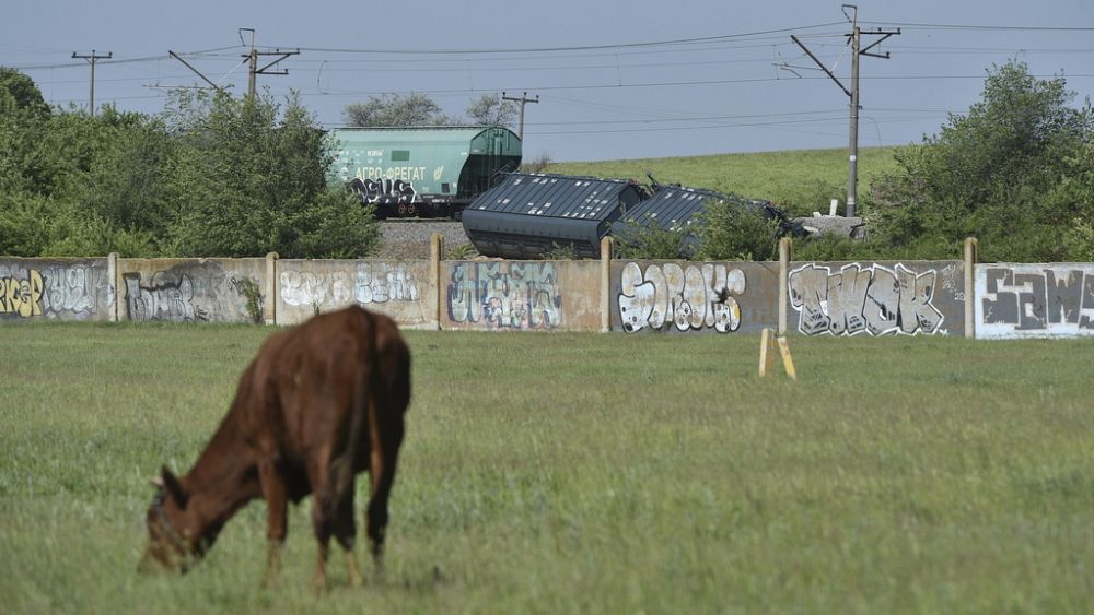 Train carrying grain derailed in Crimea after renewed Black Sea deal