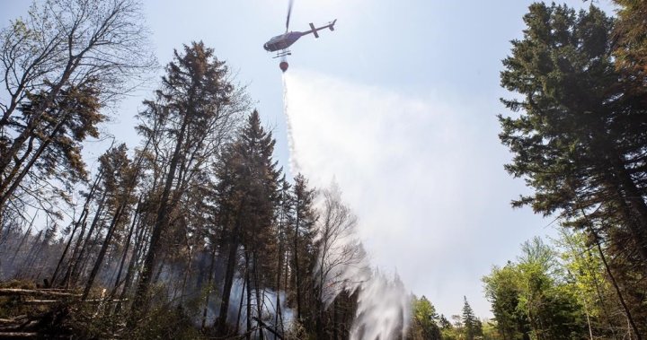 Rainy forecast could offer some relief for crews battling N.S. wildfires