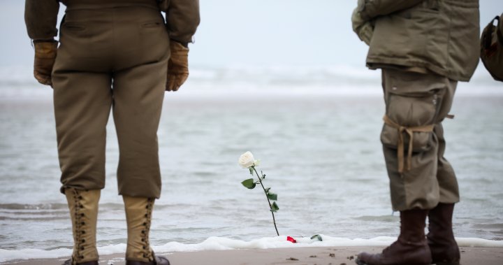 Normandy reflects on D-Day, 79 years since ‘pivotal’ 2nd World War battle - National