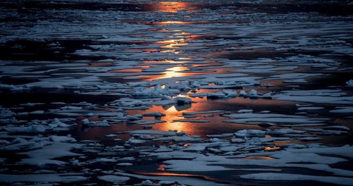 Arctic will likely see summer free of ice by 2030, research says