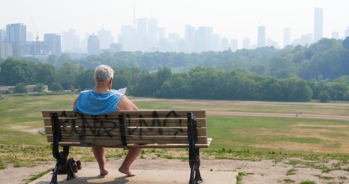 Toronto cancels some recreation programs over poor air quality - Toronto