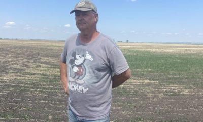 Hot and dry conditions could produce ‘catastrophic’ situation for Alberta ranchers
