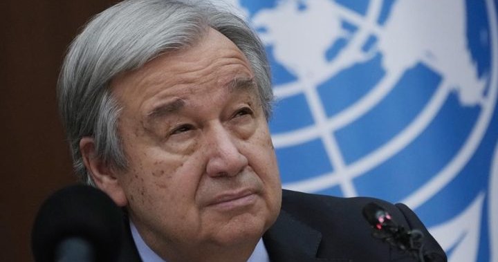 AI watchdog agency proposal gets backing from UN chief - National