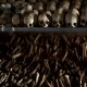 Hague court releases Rwanda genocide suspect due to dementia