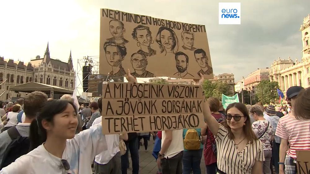 Teachers in Hungary protest 'revenge' education reform bill