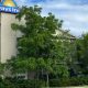 University of Guelph allowed to use former hotel as student residence - Guelph