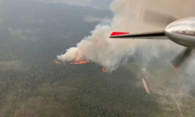 Lightning sparks 50 new wildfires across B.C. - Okanagan