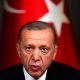 Erdogan ties Sweden’s NATO membership to Turkey’s EU accession - National